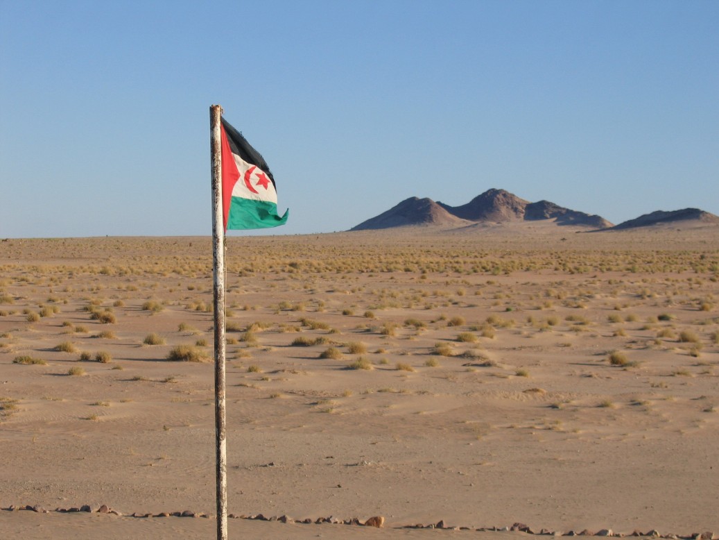 Western Sahara flag in desert 